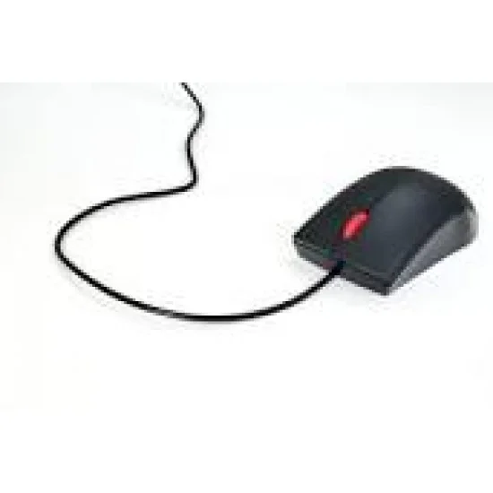 ماوس mouse